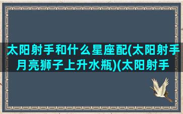 太阳射手和什么星座配(太阳射手月亮狮子上升水瓶)(太阳射手 月亮星座)